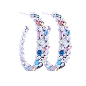 Oval Sparkling Exquisite Earrings