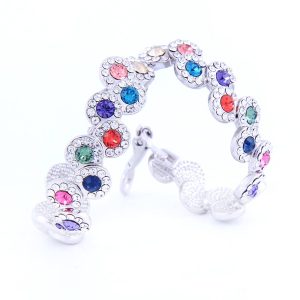 Oval Hoop Sparkling Exquisite Earrings