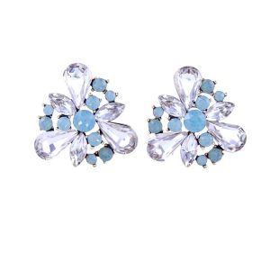 Shining Irregular Shape Earrings