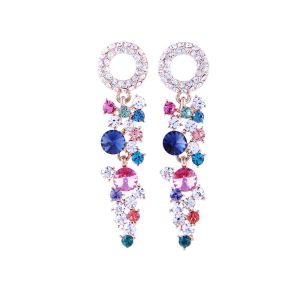 Exquisite Earrings