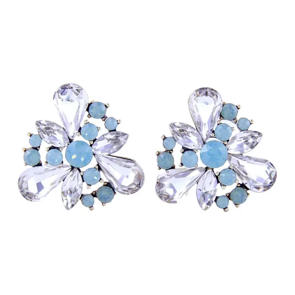 SAIVASS Stylish Earrings for Women – Minimalist Design